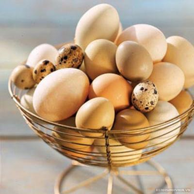  Thực phẩm cung cấp năng lượng